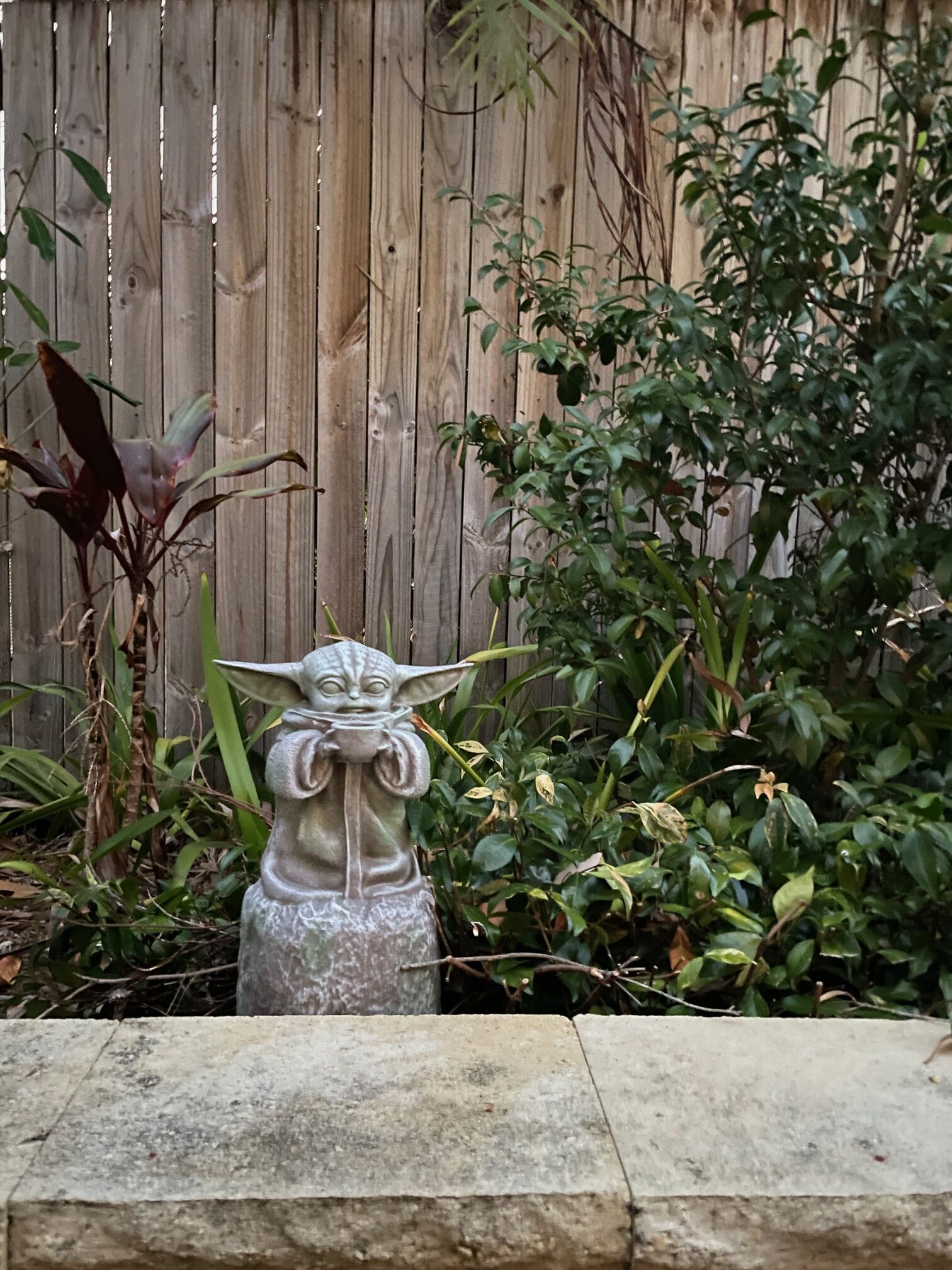 Statue in the garden. With the plants as they grow. Part of the ideal day