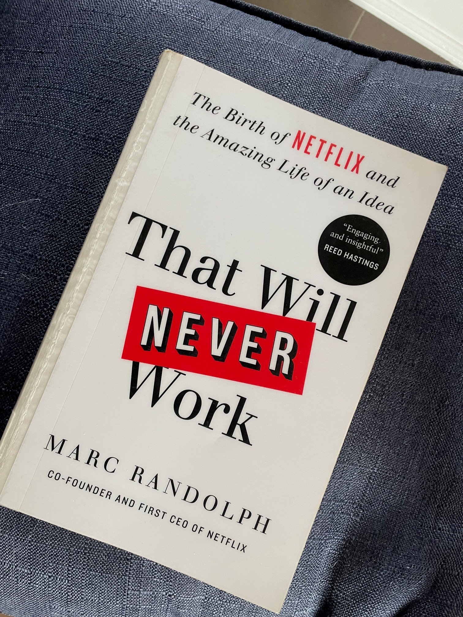 That Will Never Work Book Summary